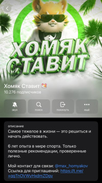 Telegram канал "Хомяк Ставит"