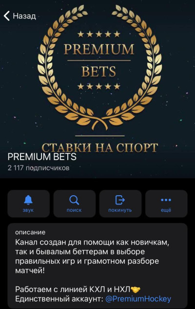 Канал PREMIUM BETS